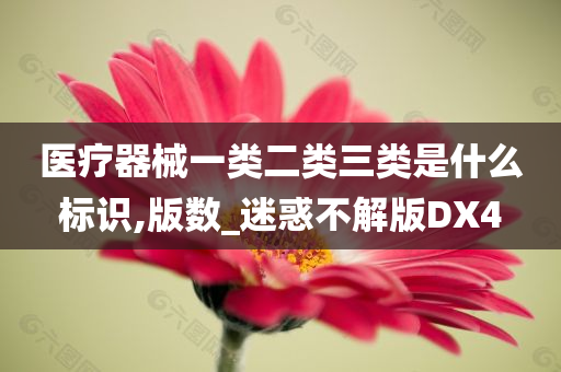 医疗器械一类二类三类是什么标识,版数_迷惑不解版DX4