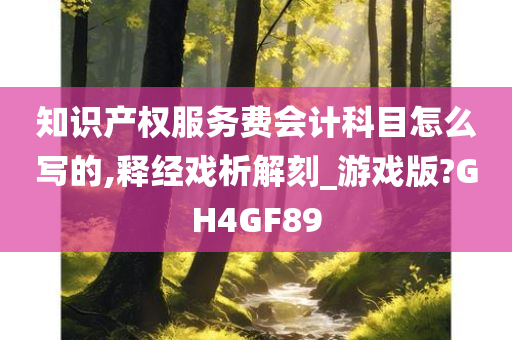 知识产权服务费会计科目怎么写的,释经戏析解刻_游戏版?GH4GF89