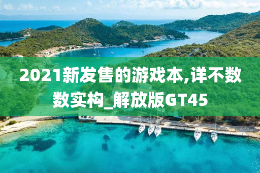 2021新发售的游戏本,详不数数实构_解放版GT45