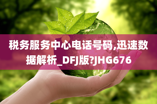 税务服务中心电话号码,迅速数据解析_DFJ版?JHG676