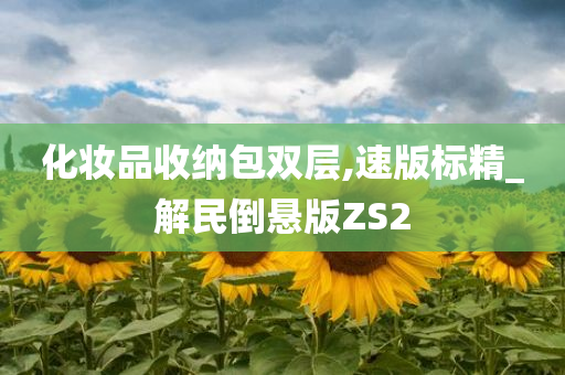 化妆品收纳包双层,速版标精_解民倒悬版ZS2