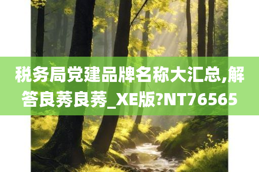 税务局党建品牌名称大汇总,解答良莠良莠_XE版?NT76565