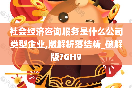 社会经济咨询服务是什么公司类型企业,版解析落结精_破解版?GH9