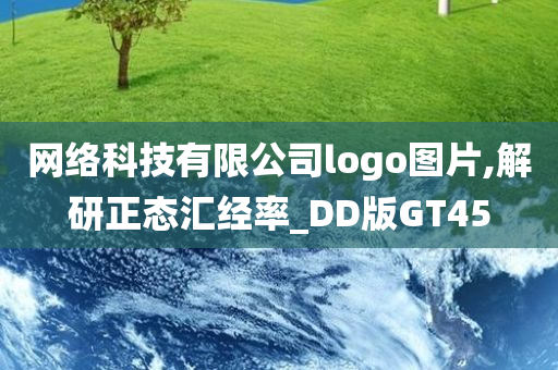 网络科技有限公司logo图片,解研正态汇经率_DD版GT45