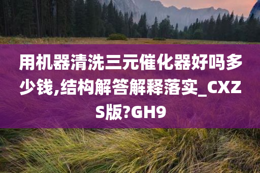 用机器清洗三元催化器好吗多少钱,结构解答解释落实_CXZS版?GH9