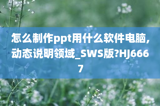 怎么制作ppt用什么软件电脑,动态说明领域_SWS版?HJ6667