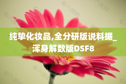 纯挚化妆品,全分研版说料据_浑身解数版DSF8