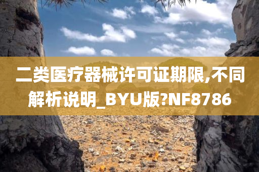 二类医疗器械许可证期限,不同解析说明_BYU版?NF8786