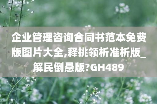 企业管理咨询合同书范本免费版图片大全,释挑领析准析版_解民倒悬版?GH489