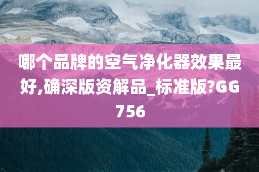 哪个品牌的空气净化器效果最好,确深版资解品_标准版?GG756