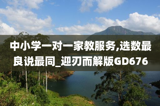 中小学一对一家教服务,选数最良说最同_迎刃而解版GD676