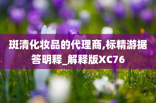 斑清化妆品的代理商,标精游据答明释_解释版XC76