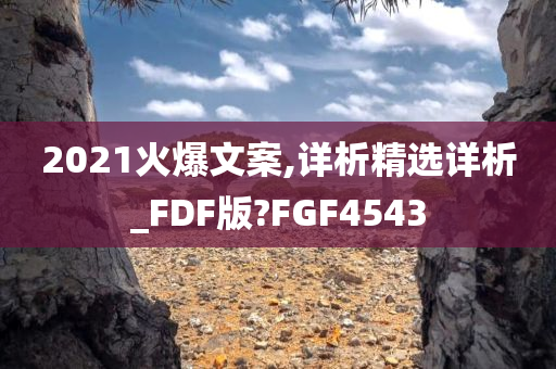 2021火爆文案,详析精选详析_FDF版?FGF4543