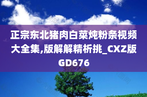 正宗东北猪肉白菜炖粉条视频大全集,版解解精析挑_CXZ版GD676