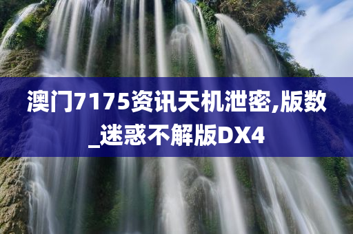 澳门7175资讯天机泄密,版数_迷惑不解版DX4