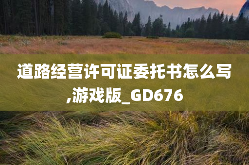 道路经营许可证委托书怎么写,游戏版_GD676