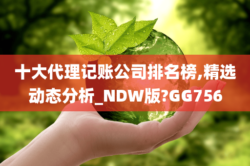 十大代理记账公司排名榜,精选动态分析_NDW版?GG756