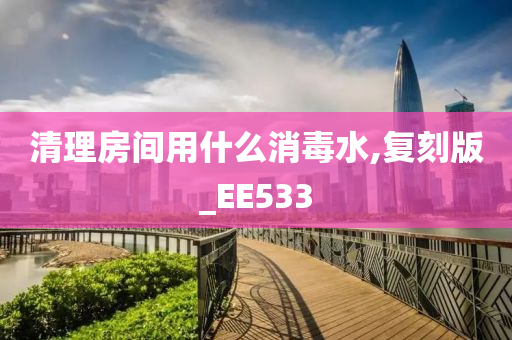 清理房间用什么消毒水,复刻版_EE533