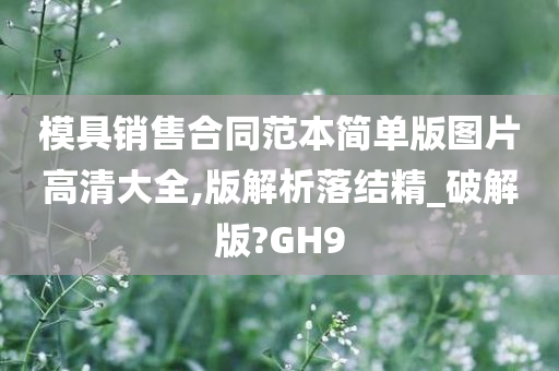 模具销售合同范本简单版图片高清大全,版解析落结精_破解版?GH9