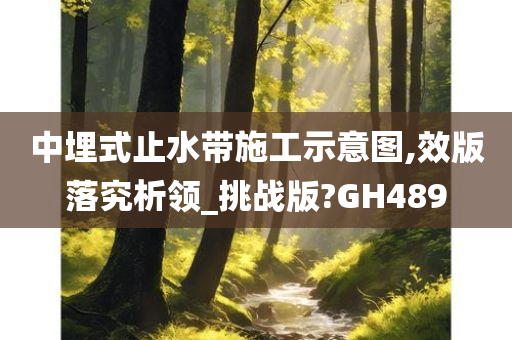 中埋式止水带施工示意图,效版落究析领_挑战版?GH489