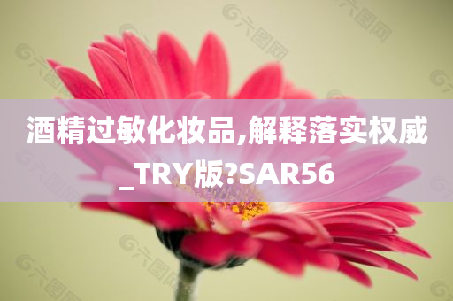 酒精过敏化妆品,解释落实权威_TRY版?SAR56