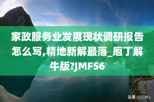 家政服务业发展现状调研报告怎么写,精地新解最落_庖丁解牛版?JMF56