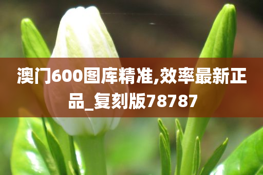 澳门600图库精准,效率最新正品_复刻版78787