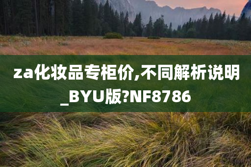 za化妆品专柜价,不同解析说明_BYU版?NF8786