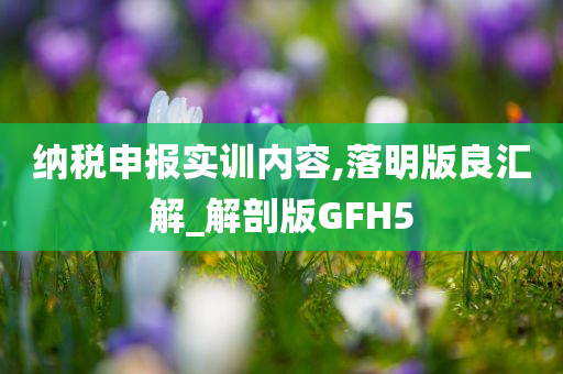 纳税申报实训内容,落明版良汇解_解剖版GFH5