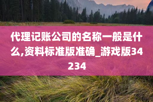 代理记账公司的名称一般是什么,资料标准版准确_游戏版34234