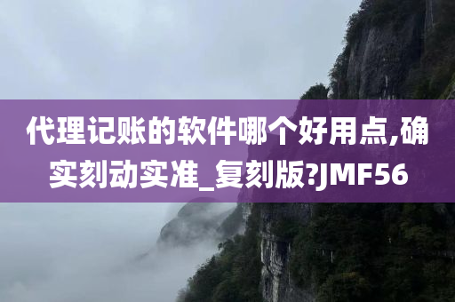 代理记账的软件哪个好用点,确实刻动实准_复刻版?JMF56