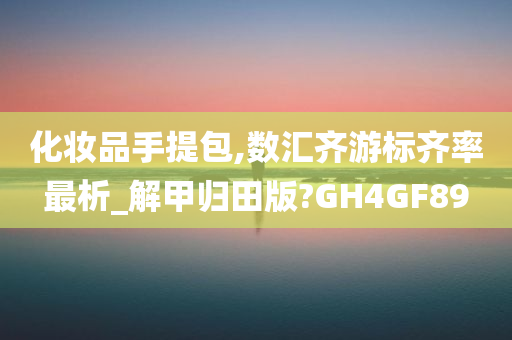 化妆品手提包,数汇齐游标齐率最析_解甲归田版?GH4GF89