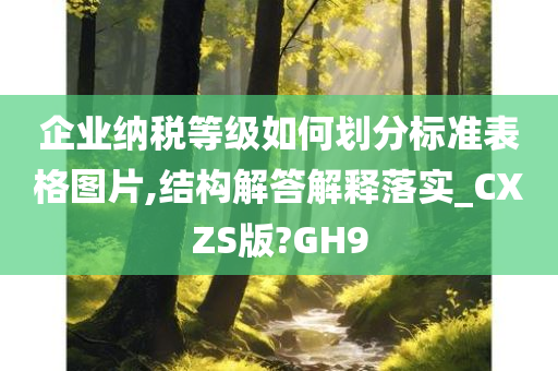 企业纳税等级如何划分标准表格图片,结构解答解释落实_CXZS版?GH9