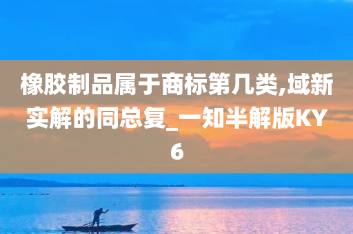 橡胶制品属于商标第几类,域新实解的同总复_一知半解版KY6