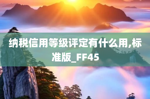 纳税信用等级评定有什么用,标准版_FF45