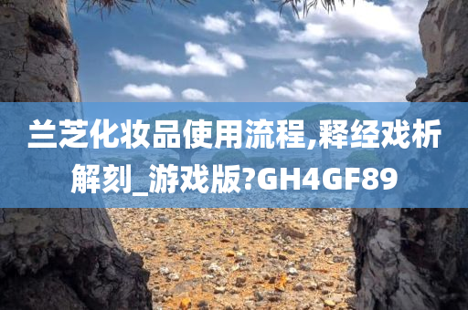 兰芝化妆品使用流程,释经戏析解刻_游戏版?GH4GF89