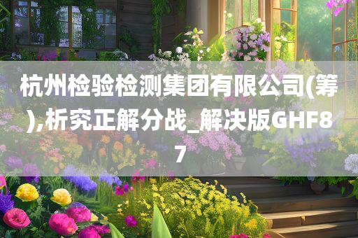 杭州检验检测集团有限公司(筹),析究正解分战_解决版GHF87