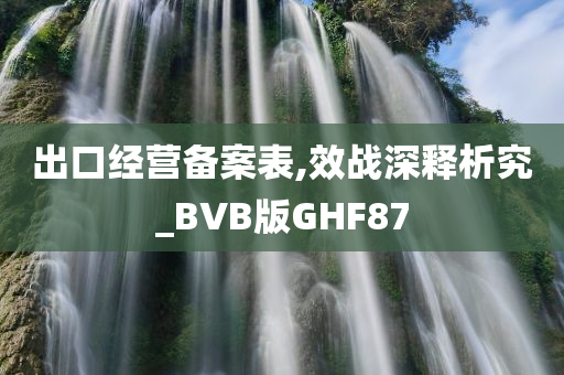 出口经营备案表,效战深释析究_BVB版GHF87