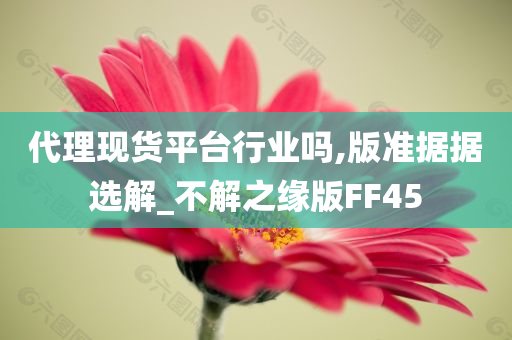 代理现货平台行业吗,版准据据选解_不解之缘版FF45