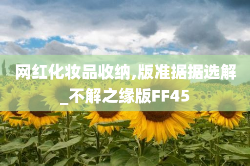 网红化妆品收纳,版准据据选解_不解之缘版FF45