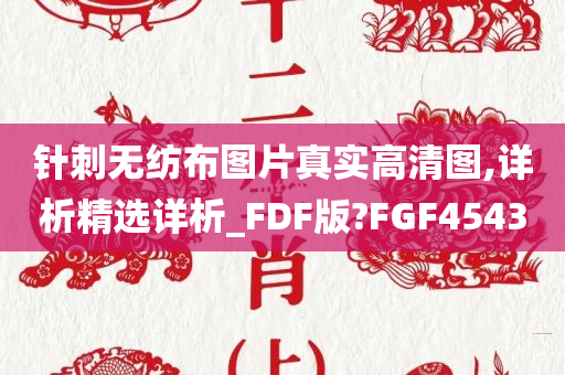 针刺无纺布图片真实高清图,详析精选详析_FDF版?FGF4543