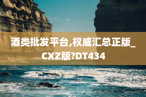 酒类批发平台,权威汇总正版_CXZ版?DT434