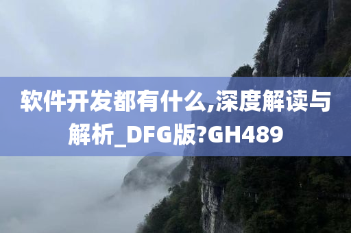 软件开发都有什么,深度解读与解析_DFG版?GH489