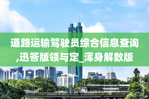 道路运输驾驶员综合信息查询,迅答版领与定_浑身解数版