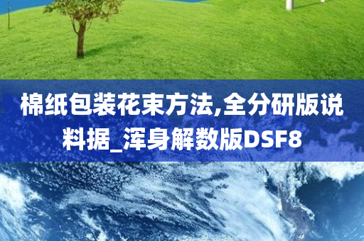 棉纸包装花束方法,全分研版说料据_浑身解数版DSF8