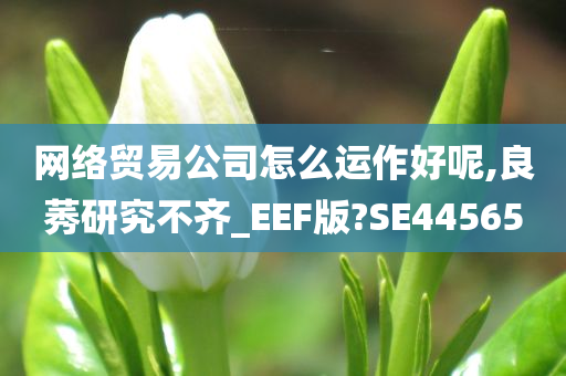 网络贸易公司怎么运作好呢,良莠研究不齐_EEF版?SE44565