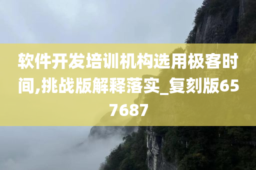 软件开发培训机构选用极客时间,挑战版解释落实_复刻版657687