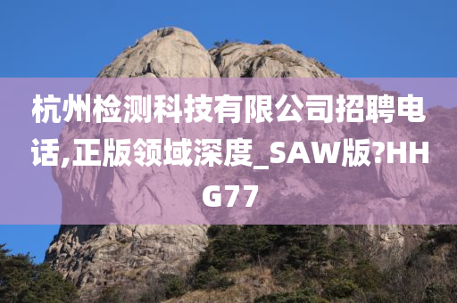 杭州检测科技有限公司招聘电话,正版领域深度_SAW版?HHG77