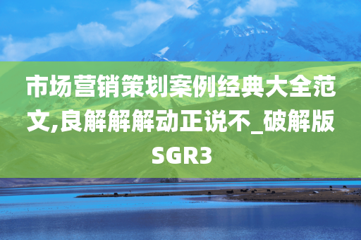 市场营销策划案例经典大全范文,良解解解动正说不_破解版SGR3