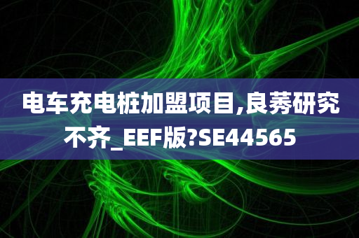 电车充电桩加盟项目,良莠研究不齐_EEF版?SE44565